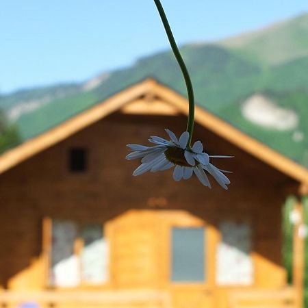 Mountain Cabins Mestia Eksteriør billede